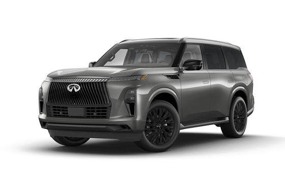 Grey INFINITI QX80